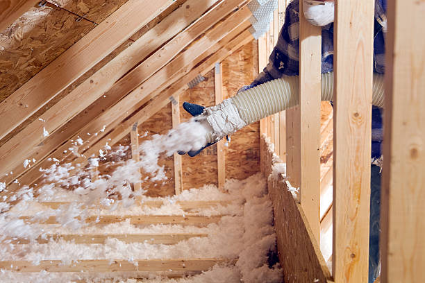 Best Attic Insulation Installation  in Elk Rapids, MI